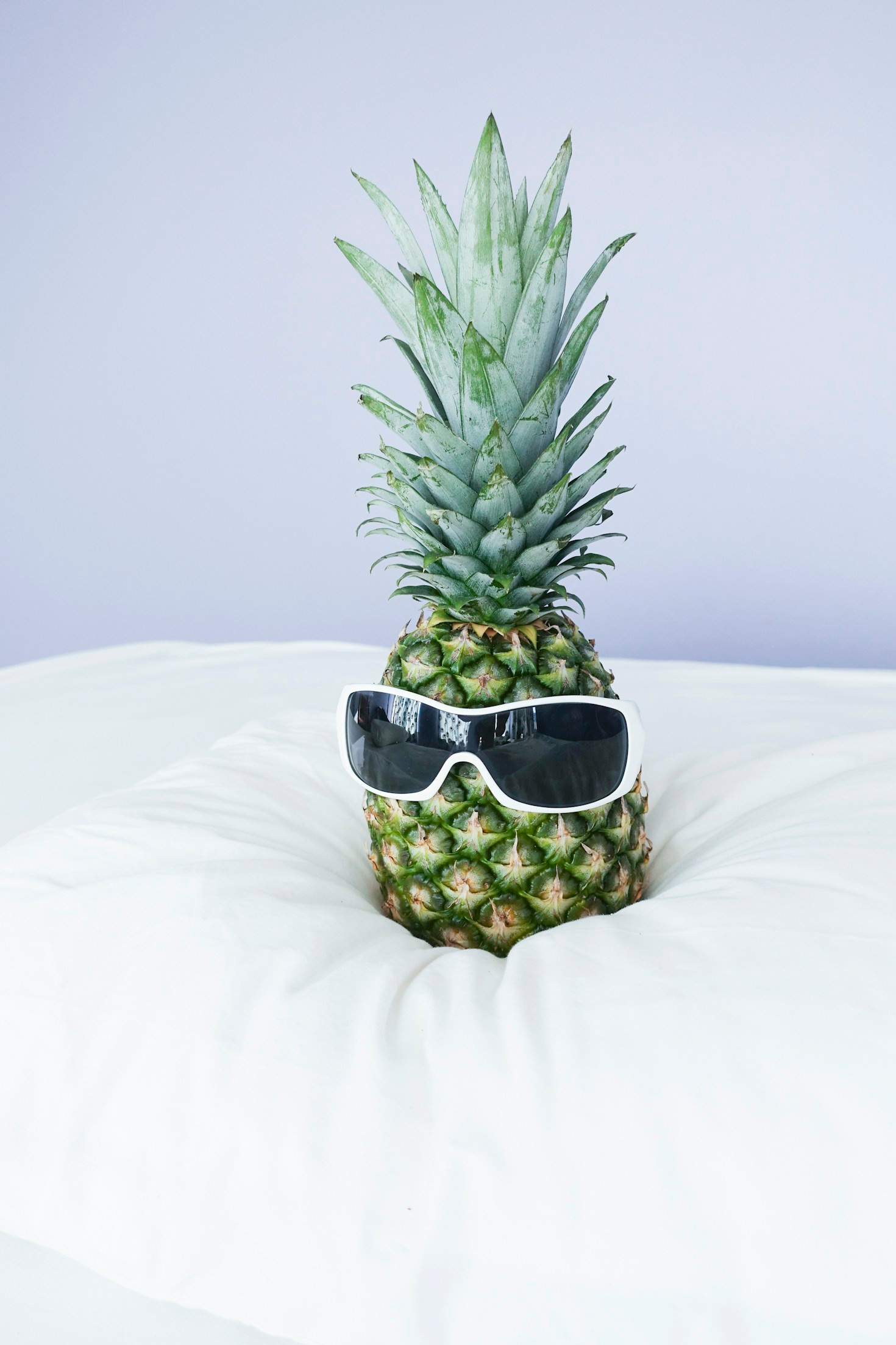 How Short Videos Can Brighten Your Day